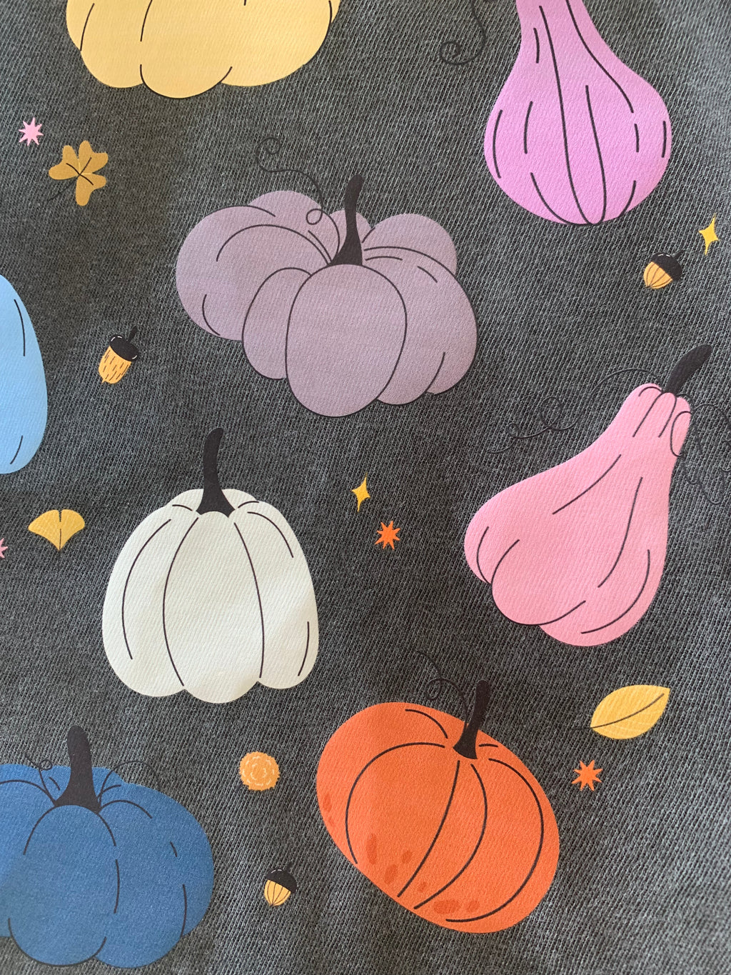 Eras Pumpkins - Gray T-shirt