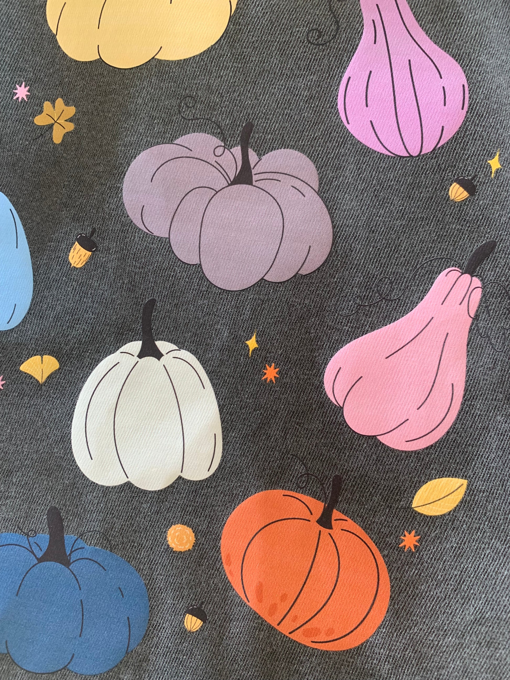 Eras Pumpkins - Gray T-shirt